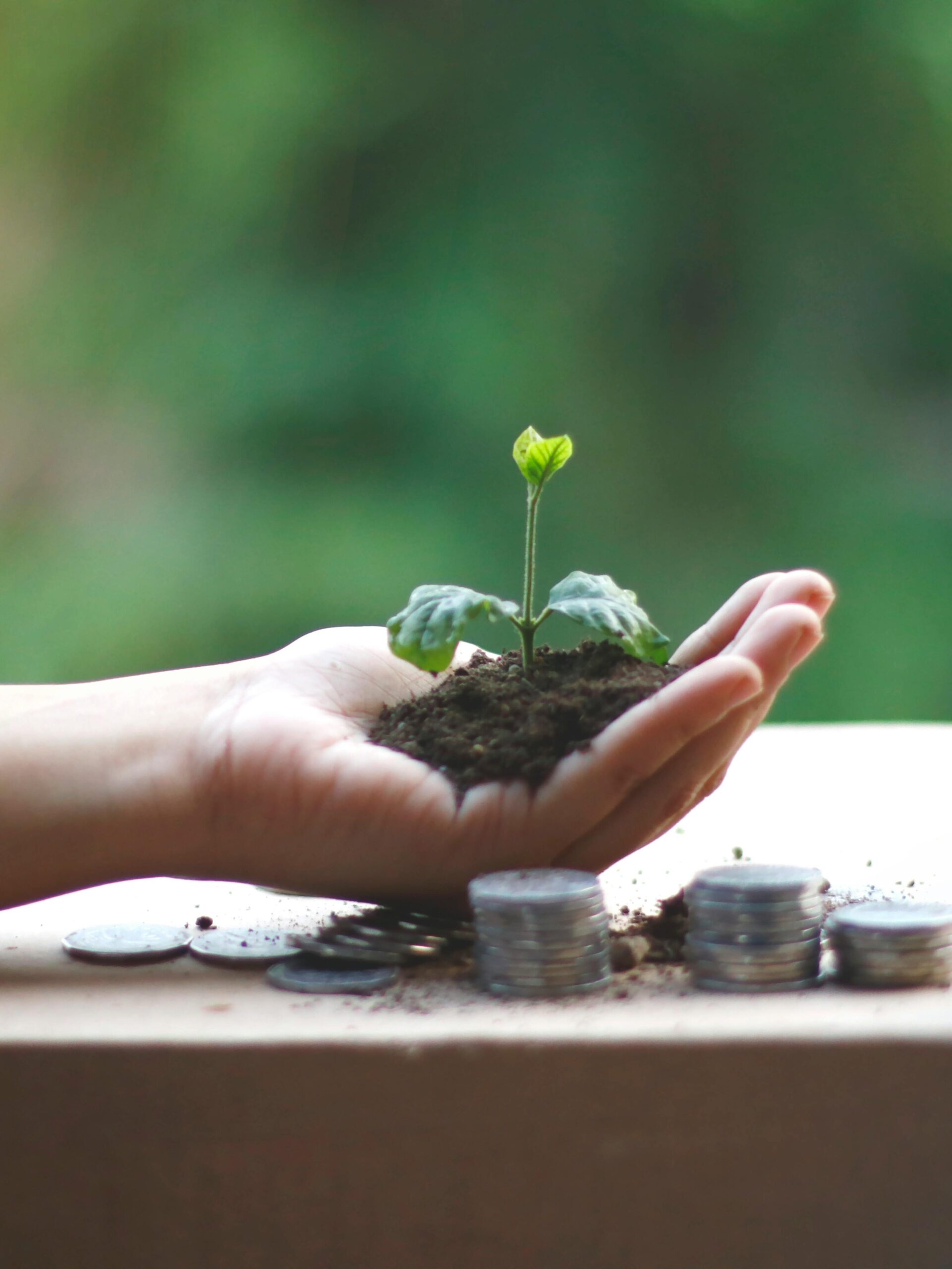Compromisso com Sustentabilidade e ESG na Engenharia - OSP Engenharia Pará.